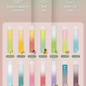 B.A一次性抛棄式電子煙8000口