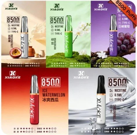 XIAOKE梟客 8500口一次性電子菸拋棄式